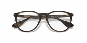 Clear Lenses, Matte Havana Frame