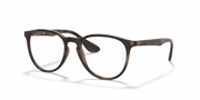 Clear Lenses, Matte Havana Frame