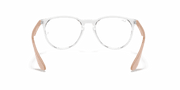 Clear Lenses, Polished Transparent Frame