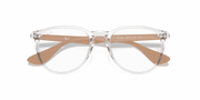 Clear Lenses, Polished Transparent Frame