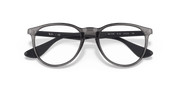 Clear Lenses, Polished Transparent Grey Frame