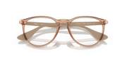 Clear Lenses, Polished Transparent Brown Frame