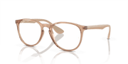 Clear Lenses, Polished Transparent Brown Frame