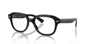 Clear Lenses, Polished Black Frame