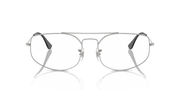 Clear Lenses, Polished Silver Frame