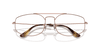 [Clear Lenses, Polished Copper Frame]