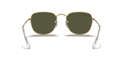 G-15 Green Lenses, Polished Gold Frame