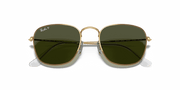 G-15 Green Lenses, Polished Gold Frame