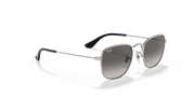 Grey Gradient Lenses, Polished Silver Frame