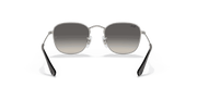 Grey Gradient Lenses, Polished Silver Frame