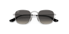 [Grey Gradient Lenses, Polished Silver Frame]