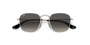 Grey Gradient Lenses, Polished Silver Frame