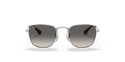 Grey Gradient Lenses, Polished Silver Frame