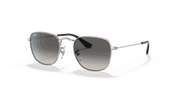 Grey Gradient Lenses, Polished Silver Frame