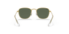 [Dark Green Lenses, Polished Gold Frame]