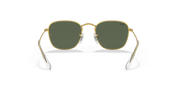 Dark Green Lenses, Polished Gold Frame