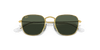 [Dark Green Lenses, Polished Gold Frame]