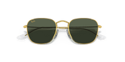 Dark Green Lenses, Polished Gold Frame