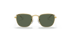 [Dark Green Lenses, Polished Gold Frame]