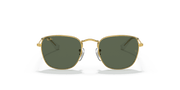 Dark Green Lenses, Polished Gold Frame