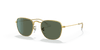 [Dark Green Lenses, Polished Gold Frame]