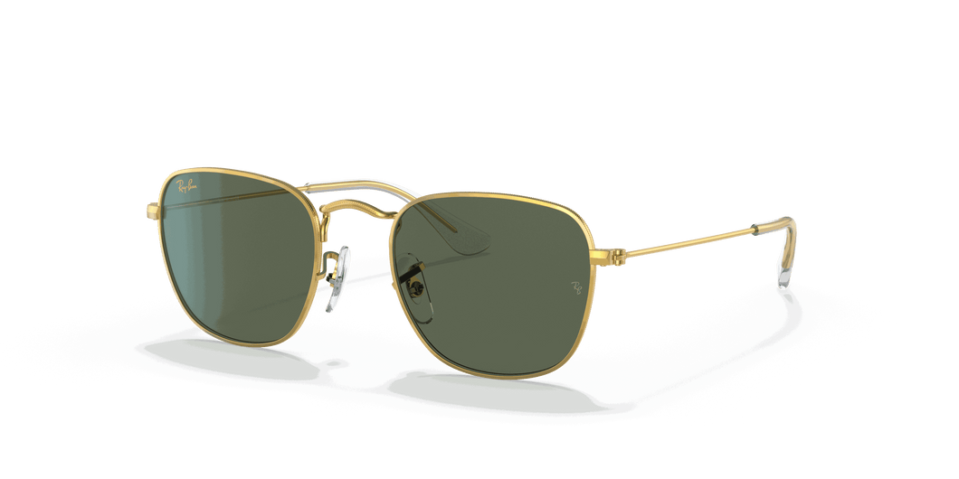 [Dark Green Lenses, Polished Gold Frame]