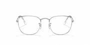 Clear Lenses, Polished Silver Frame