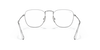 [Clear Lenses, Polished Silver Frame]