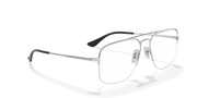 Clear Lenses, Polished Silver Frame