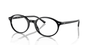 Clear Lenses, Polished Black Frame