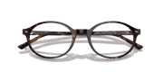 Clear Lenses, Polished Havana Frame