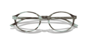 Clear Lenses, Polished Striped Green Frame