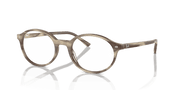 Clear Lenses, Polished Striped Beige Frame