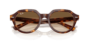 Clear Gradient Brown Lenses, Polished Light Havana On Multicolor Frame