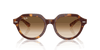 [Clear Gradient Brown Lenses, Polished Light Havana On Multicolor Frame]