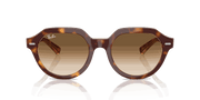 Clear Gradient Brown Lenses, Polished Light Havana On Multicolor Frame