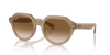 [Brown Lenses, Polished Turtledove Frame]