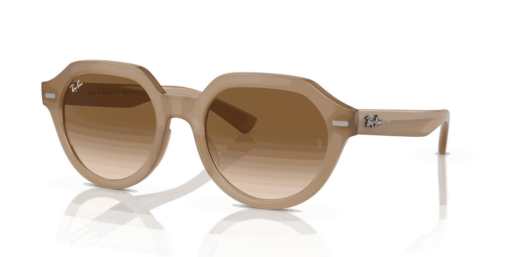 [Brown Lenses, Polished Turtledove Frame]