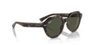 Green Lenses, Polished Havana Frame