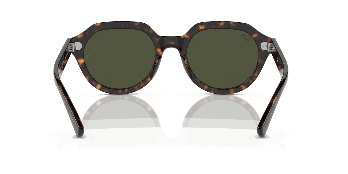 [Green Lenses, Polished Havana Frame]