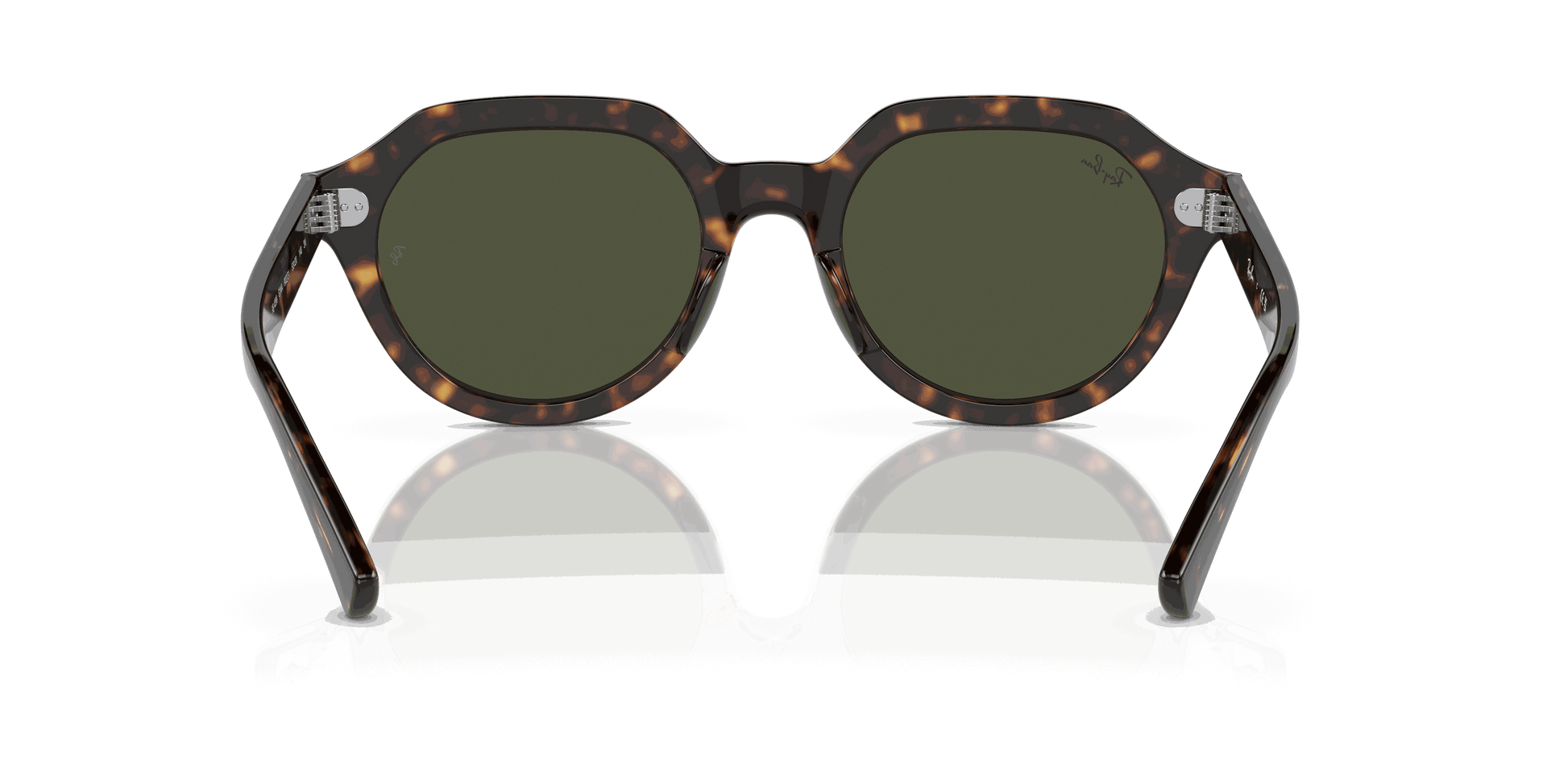 [Green Lenses, Polished Havana Frame]