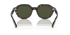 [Green Lenses, Polished Havana Frame]