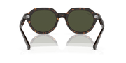 Green Lenses, Polished Havana Frame