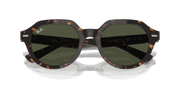 Green Lenses, Polished Havana Frame