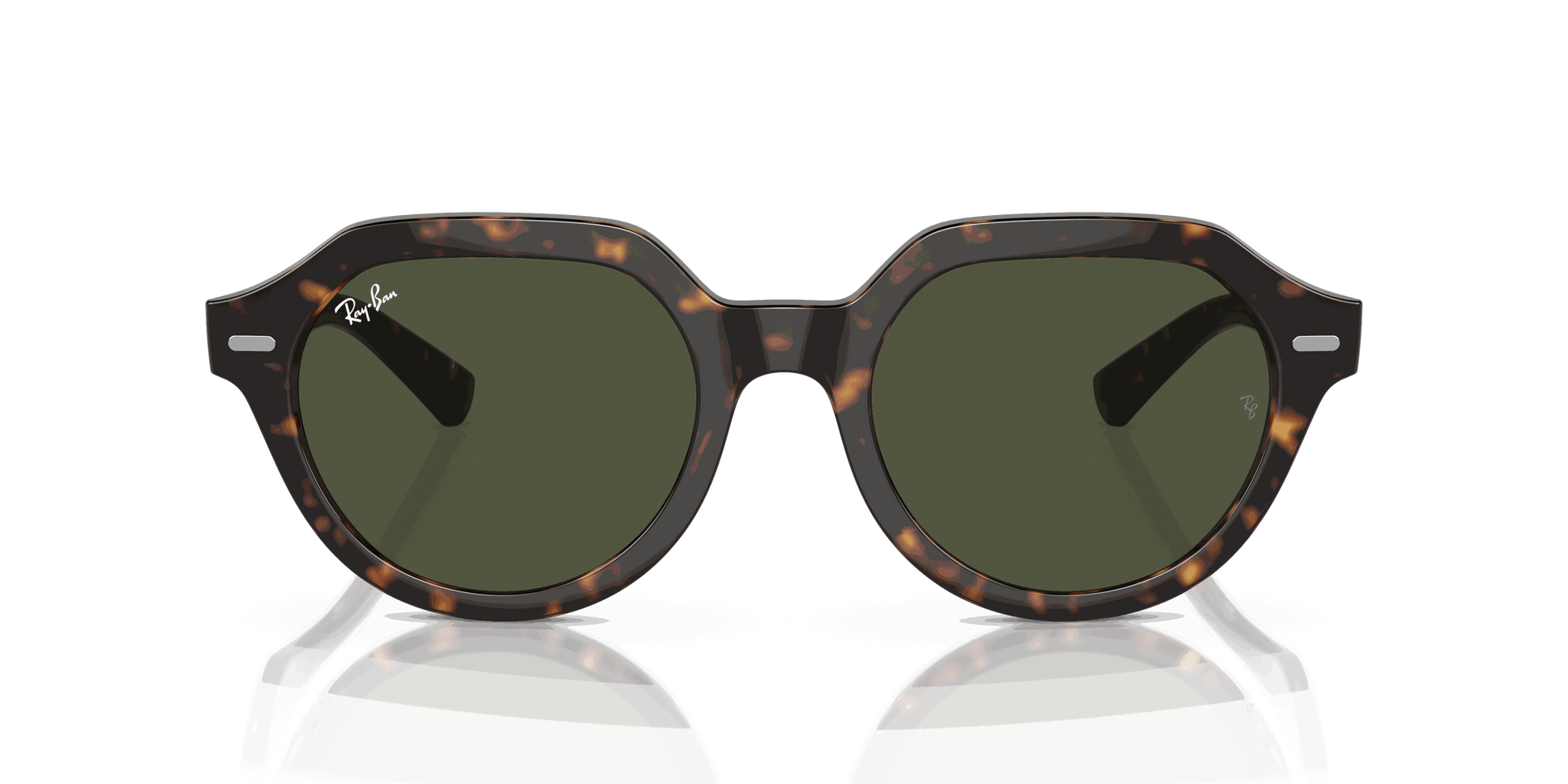 [Green Lenses, Polished Havana Frame]