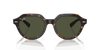 [Green Lenses, Polished Havana Frame]