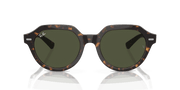 Green Lenses, Polished Havana Frame