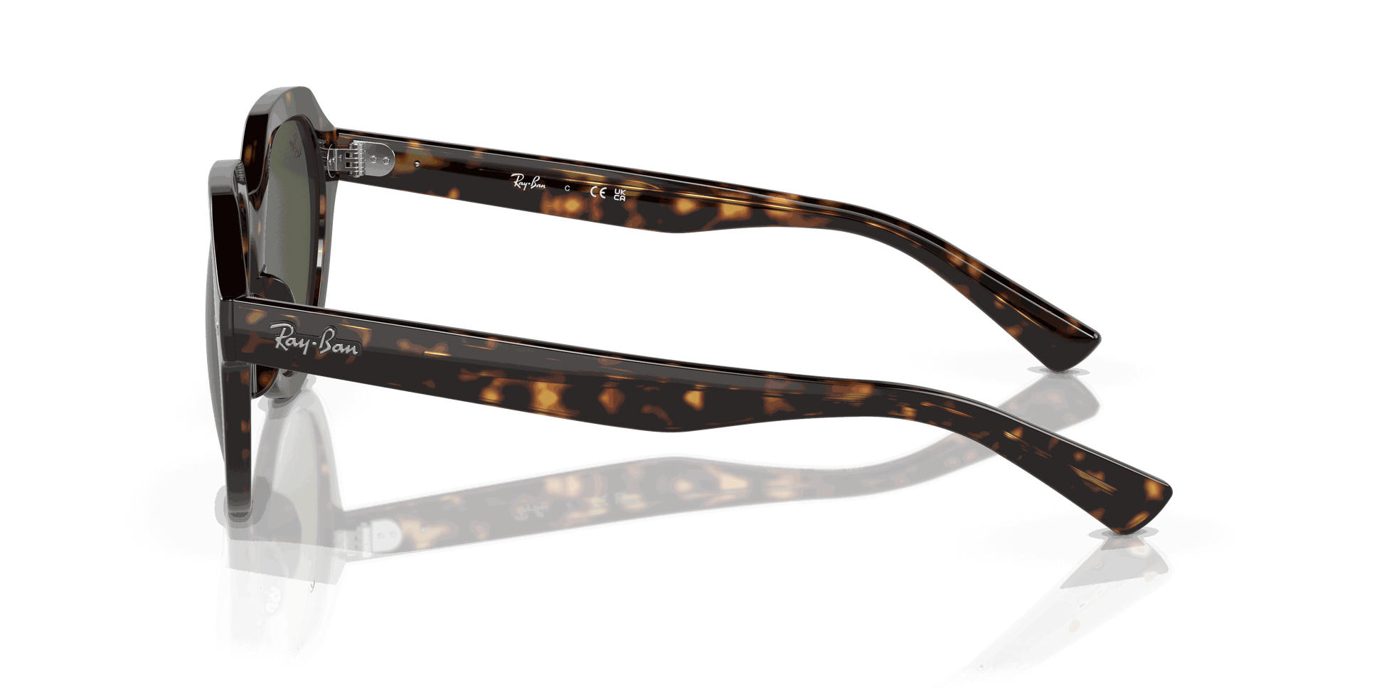 [Green Lenses, Polished Havana Frame]