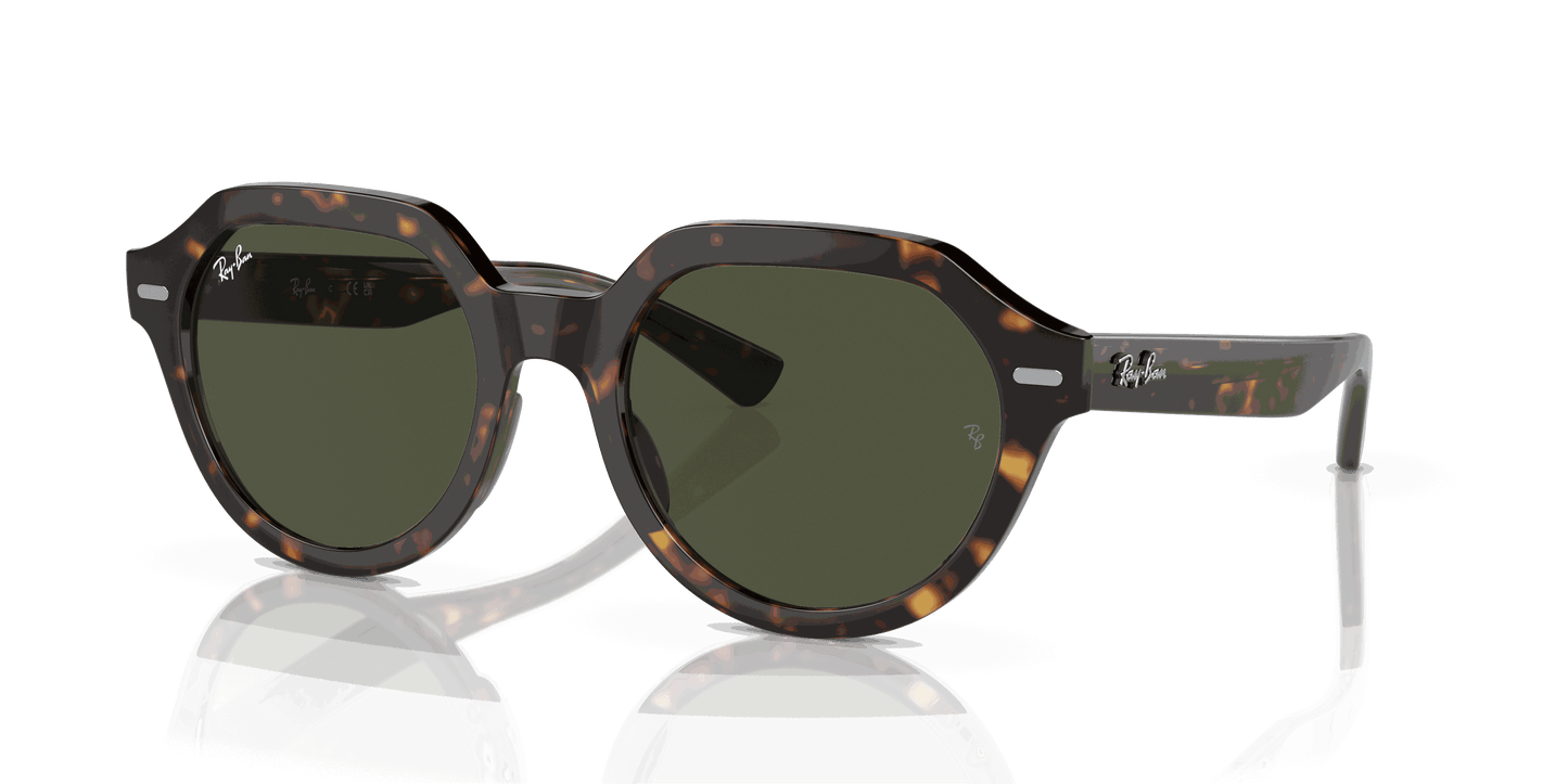 [Green Lenses, Polished Havana Frame]