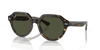 [Green Lenses, Polished Havana Frame]